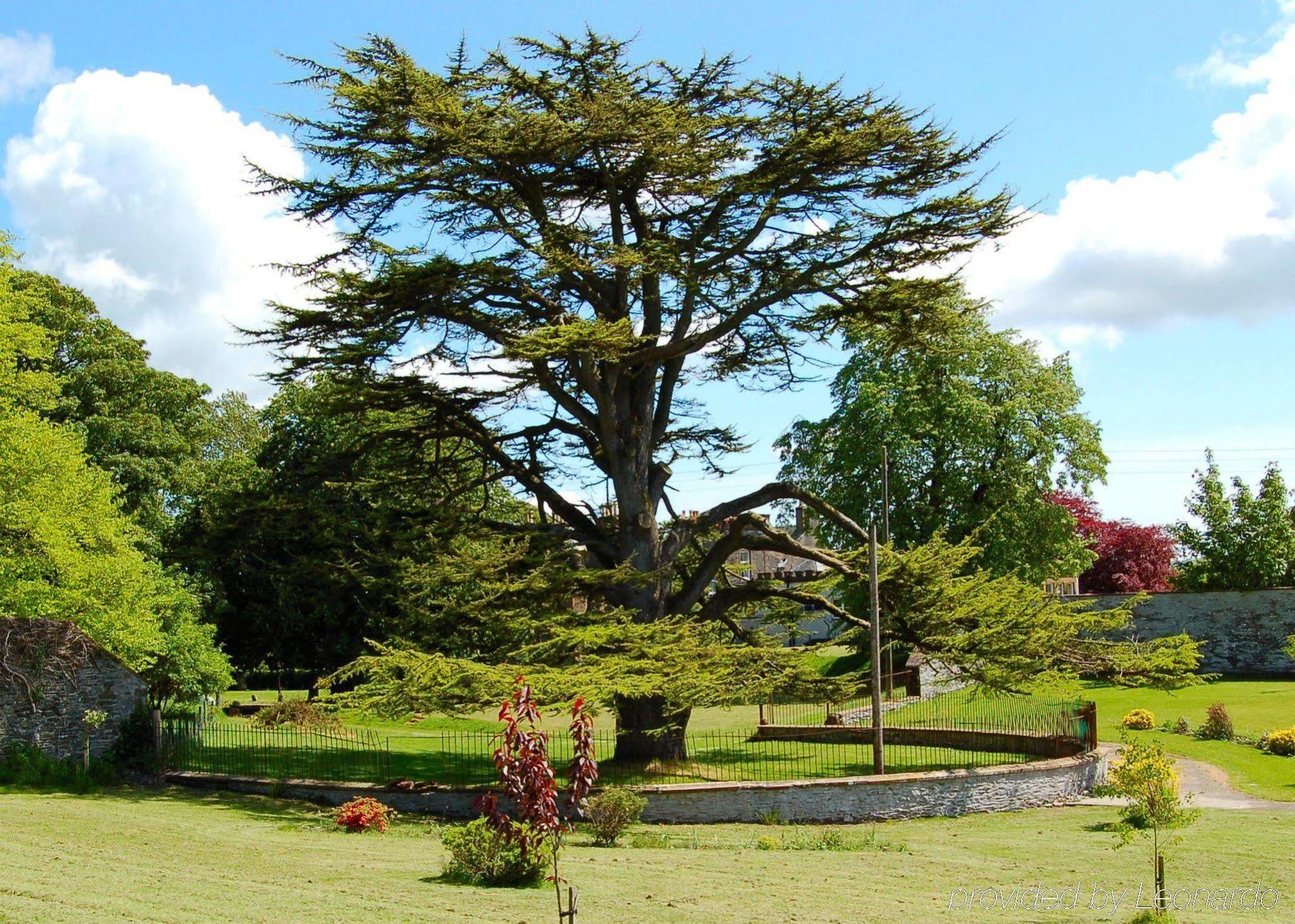 The Urr Valley Country House Hotel カッスル・ダグラス エクステリア 写真