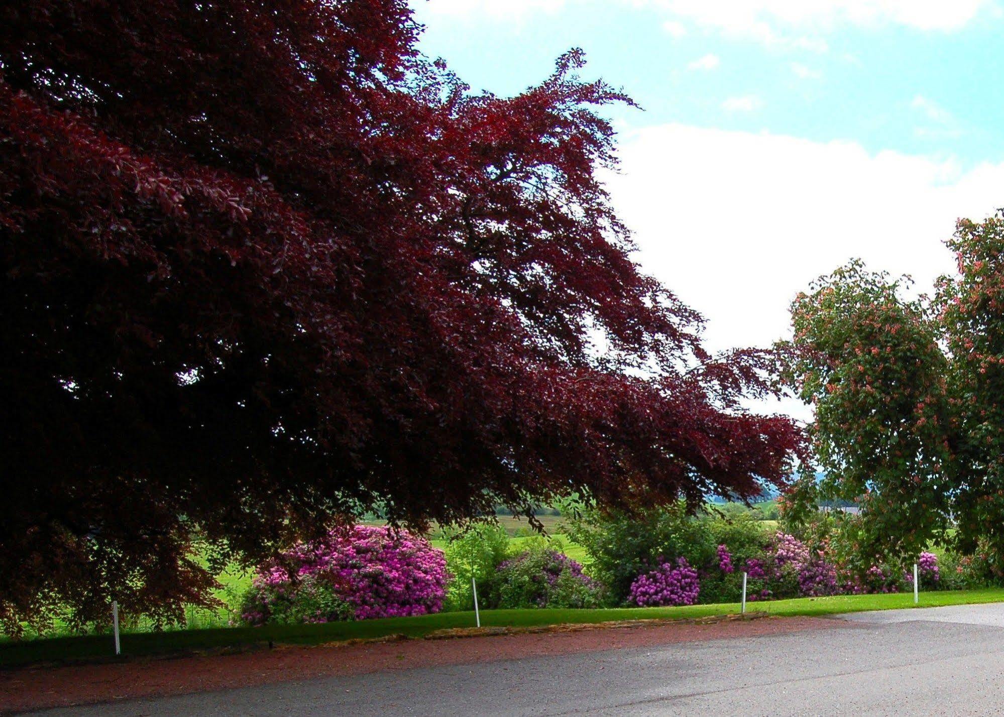 The Urr Valley Country House Hotel カッスル・ダグラス エクステリア 写真
